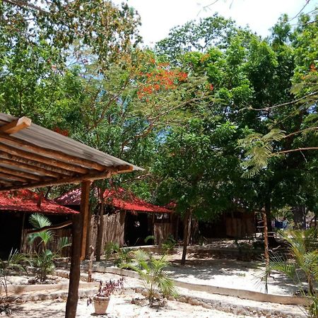 Hostel Soul Breeze Backpackers Diani Diani Beach Zewnętrze zdjęcie