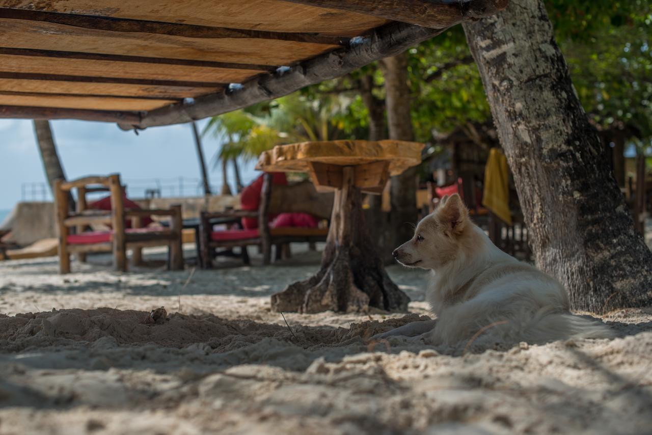 Hostel Soul Breeze Backpackers Diani Diani Beach Zewnętrze zdjęcie